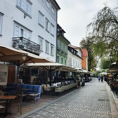 Riverside Elegance Daire